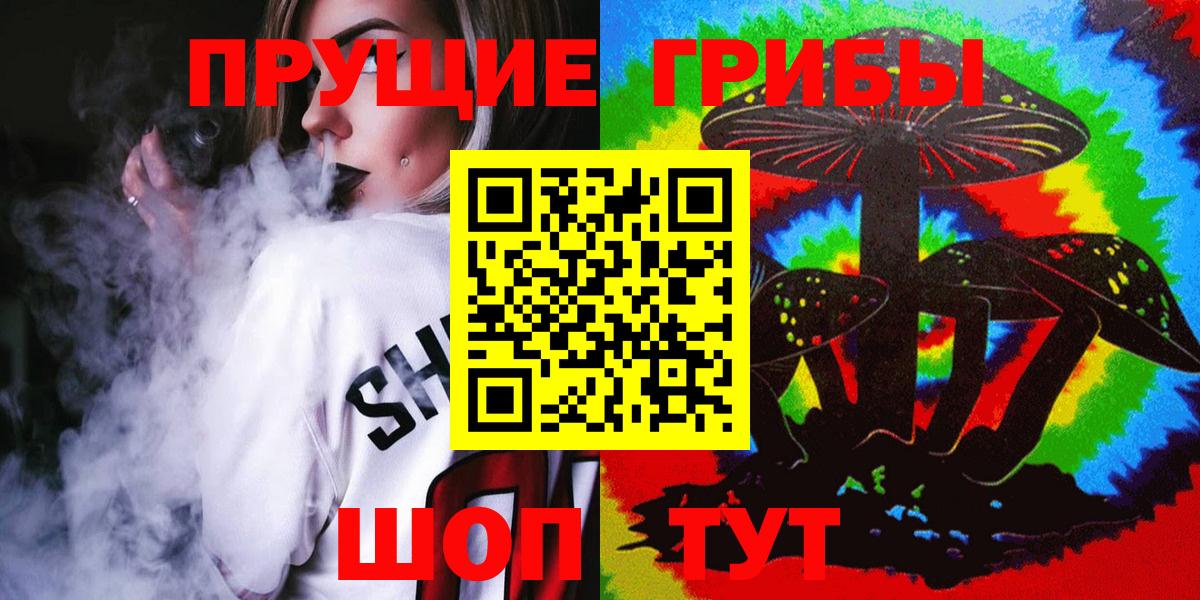 где купить наркотик  Вход с VPN  Новокуйбышевск  Галлюциногенные грибы мухоморы 